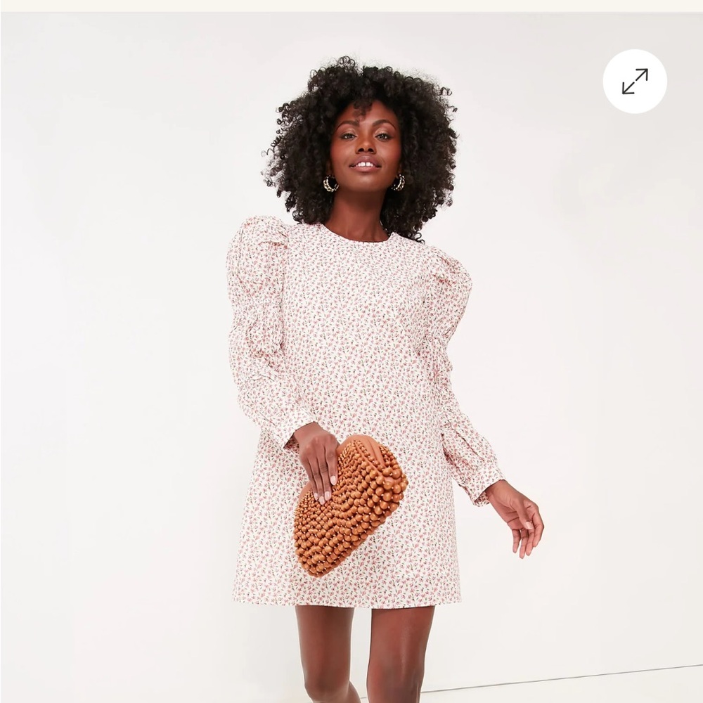 New with tag Tuckernuck floral dress